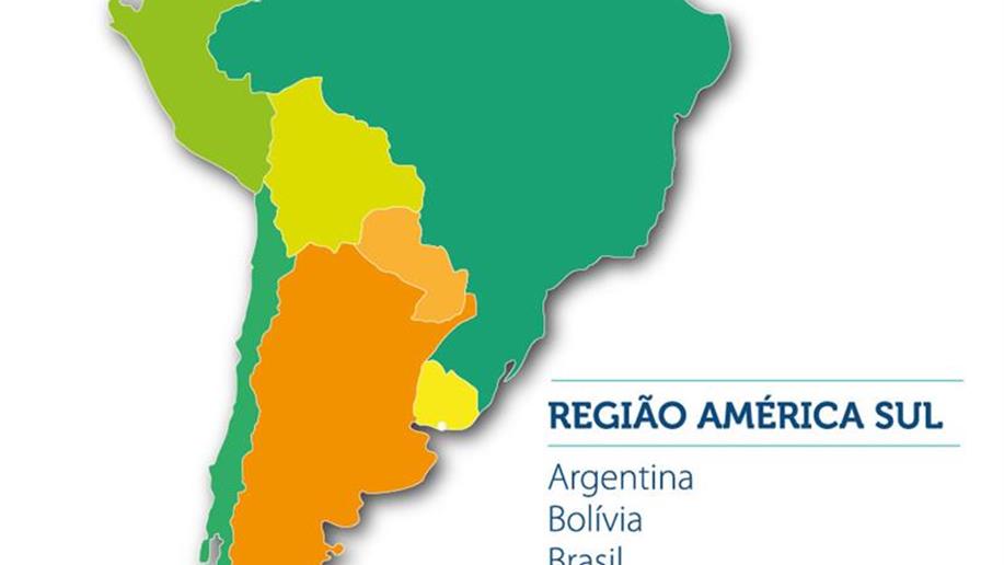 Criada para fortalecer a atuação marista em sete países, a Região América Sul já começa a dar seus primeiros passos