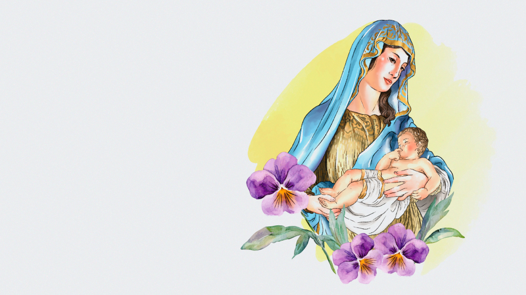 banner site boa mae